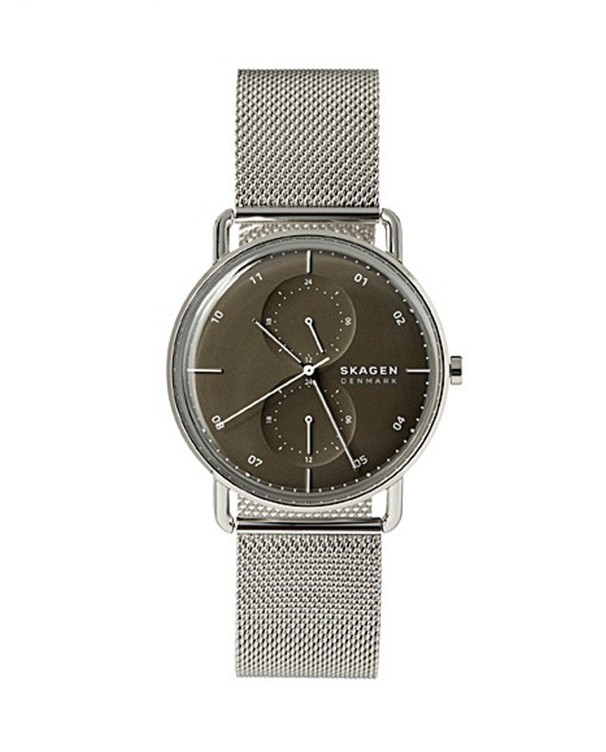 Skagen denmark shop stainless steel watch