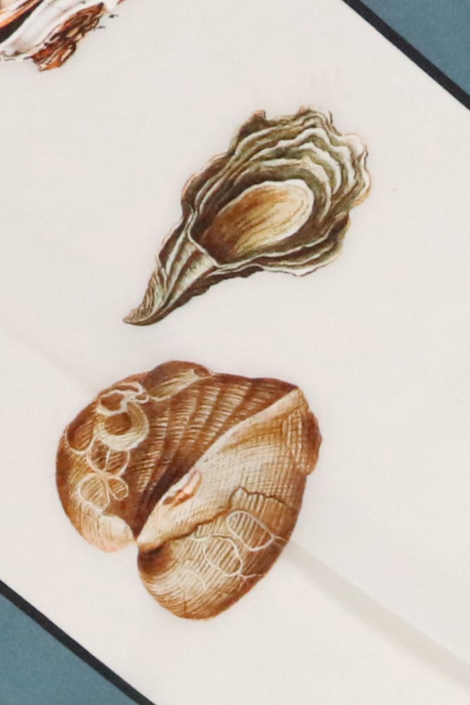 Scylla Short Silk Scarf